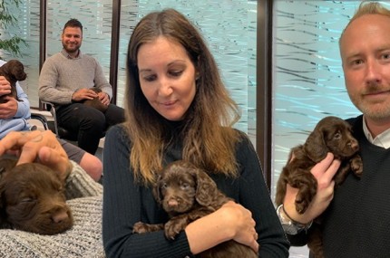 Puppy Therapy for Louvre Staff
